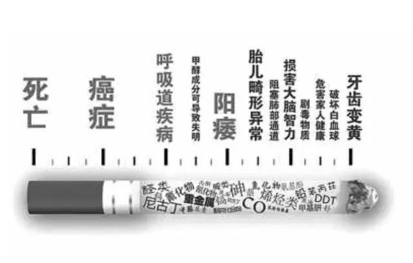 1467529796283633.jpeg mp19824350_1435046689611_2_th.jpeg