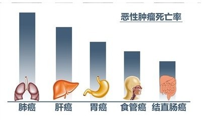 1484060600811368.jpg d553bd096b63f62447d6fec68744ebf81b4ca33c.jpg